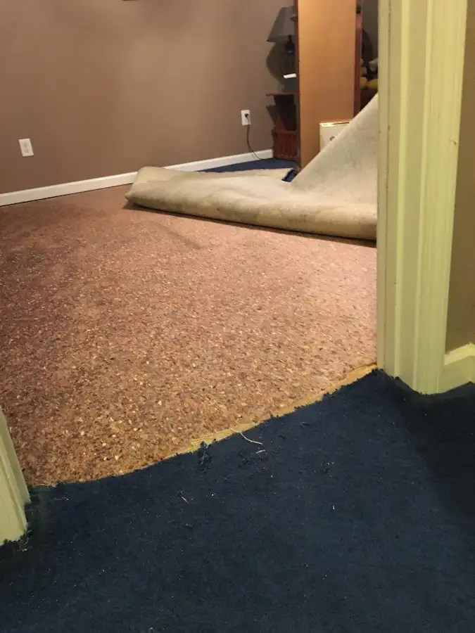 Carpet pad removal revealing water damage during Drying & Dehumidification in Newstead