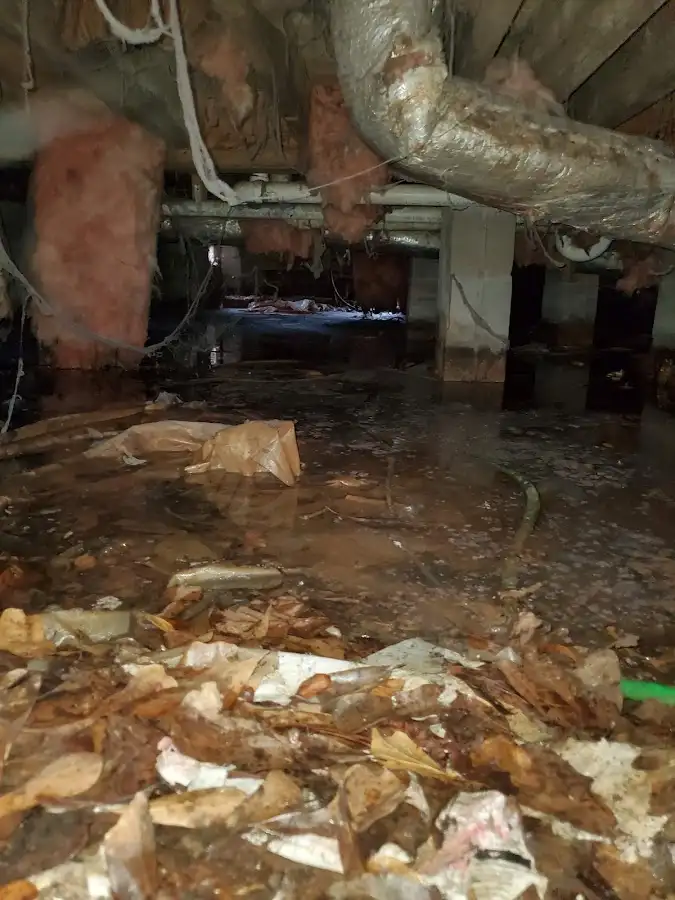 Crawl space flood assessment for Leak Detection & Repair in Newstead