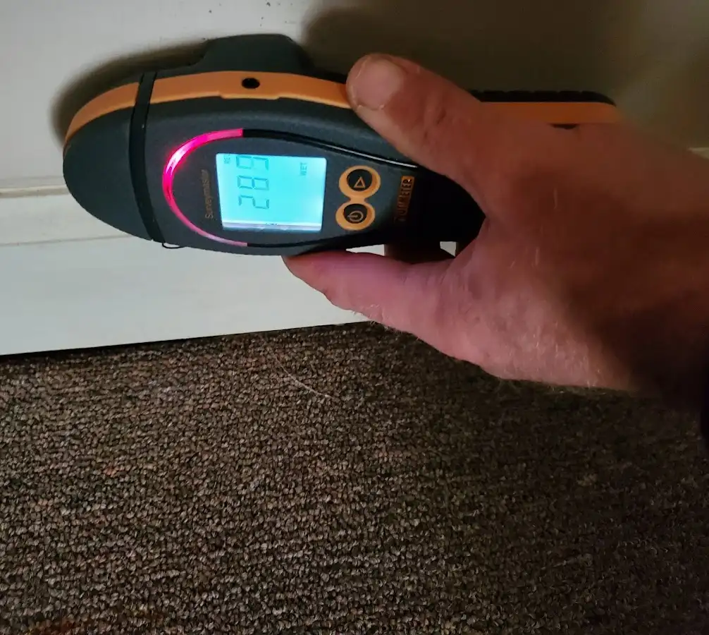 Moisture detection at baseboard during Sewage Cleanup & Sanitation in Newstead